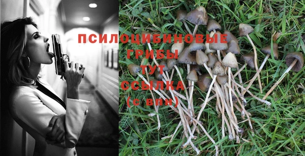 стафф Сафоново