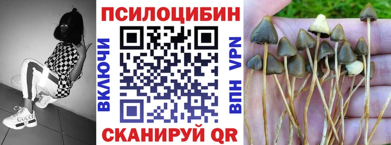 Псилоцибиновые грибы GOLDEN TEACHER  магазин    ссылка на мегу   Железногорск-Илимский 